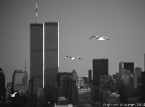 WP New York BW-1